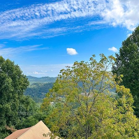 Little Black Bear Retreat Pigeon Forge Ngoại thất bức ảnh